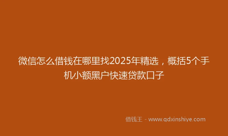 微信怎么借钱在哪里找2025年精选，概括5个手机小额黑户快速贷款口子