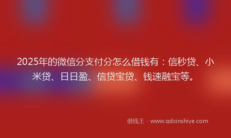 2025年的微信分支付分怎么借钱有：信秒贷、小米贷、日日盈、信贷宝贷、钱速融宝等。