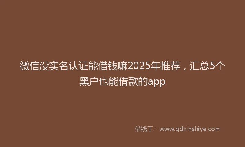 微信没实名认证能借钱嘛2025年推荐，汇总5个黑户也能借款的app