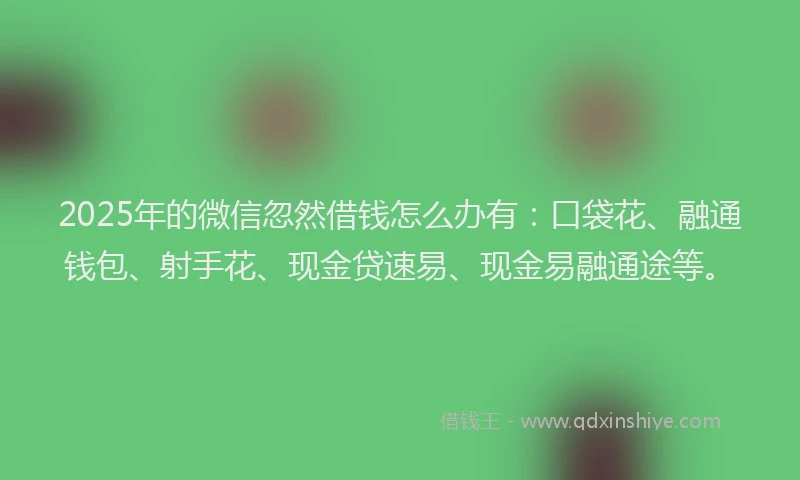 2025年的微信忽然借钱怎么办有：口袋花、融通钱包、射手花、现金贷速易、现金易融通途等。