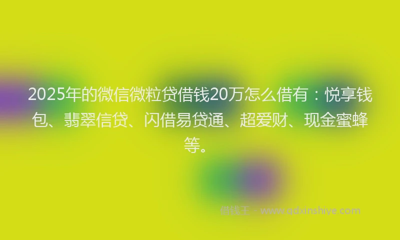2025年的微信微粒贷借钱20万怎么借有：悦享钱包、翡翠信贷、闪借易贷通、超爱财、现金蜜蜂等。