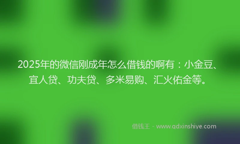 2025年的微信刚成年怎么借钱的啊有：小金豆、宜人贷、功夫贷、多米易购、汇火佑金等。