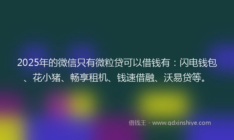 2025年的微信只有微粒贷可以借钱有：闪电钱包、花小猪、畅享租机、钱速借融、沃易贷等。