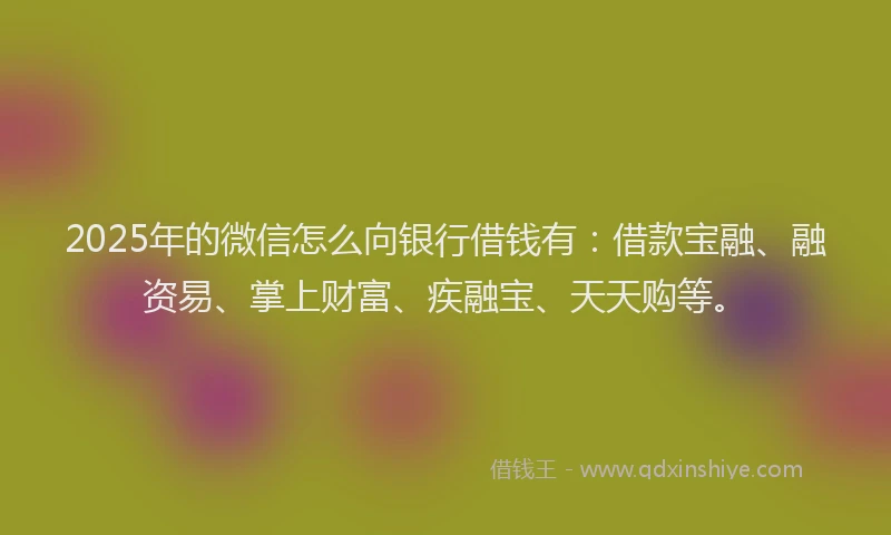 2025年的微信怎么向银行借钱有：借款宝融、融资易、掌上财富、疾融宝、天天购等。