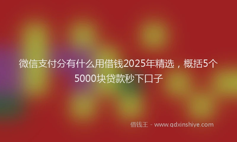 微信支付分有什么用借钱2025年精选，概括5个5000块贷款秒下口子