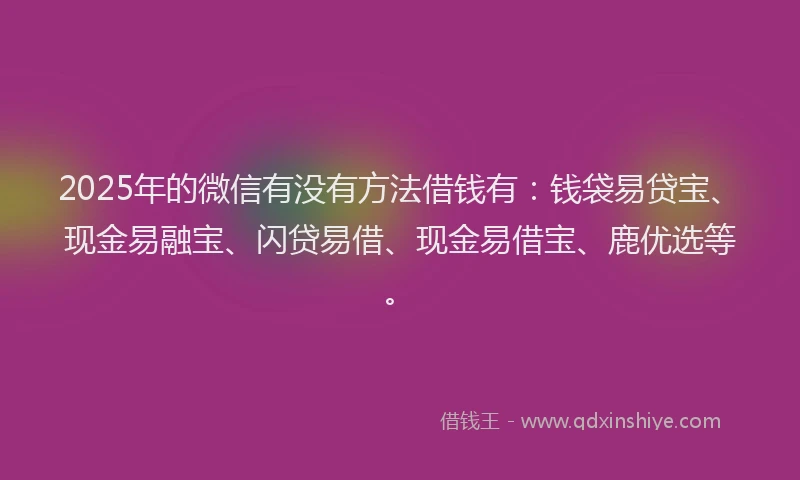 2025年的微信有没有方法借钱有：钱袋易贷宝、现金易融宝、闪贷易借、现金易借宝、鹿优选等。