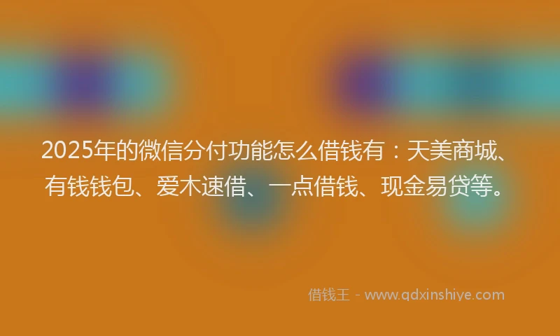 2025年的微信分付功能怎么借钱有：天美商城、有钱钱包、爱木速借、一点借钱、现金易贷等。