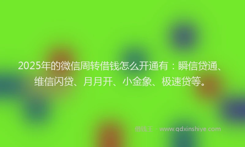 2025年的微信周转借钱怎么开通有：瞬信贷通、维信闪贷、月月开、小金象、极速贷等。