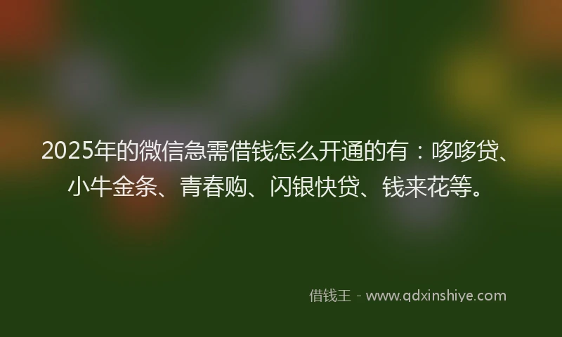 2025年的微信急需借钱怎么开通的有：哆哆贷、小牛金条、青春购、闪银快贷、钱来花等。