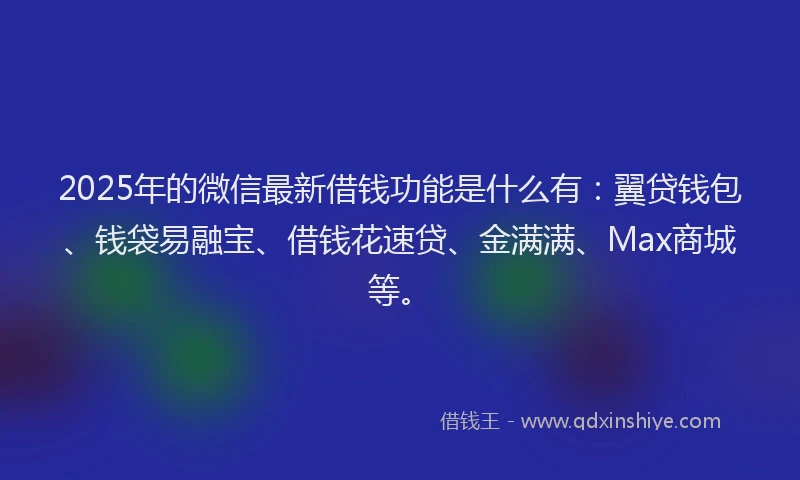 2025年的微信最新借钱功能是什么有：翼贷钱包、钱袋易融宝、借钱花速贷、金满满、Max商城等。