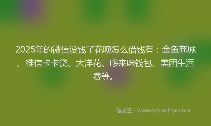 2025年的微信没钱了花呗怎么借钱有：金鱼商城、维信卡卡贷、大洋花、哆来咪钱包、美团生活费等。