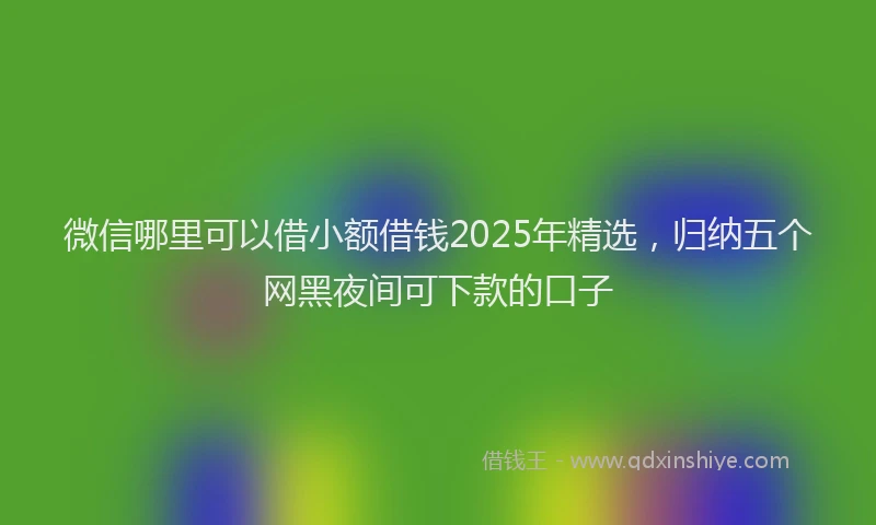 微信哪里可以借小额借钱2025年精选，归纳五个网黑夜间可下款的口子