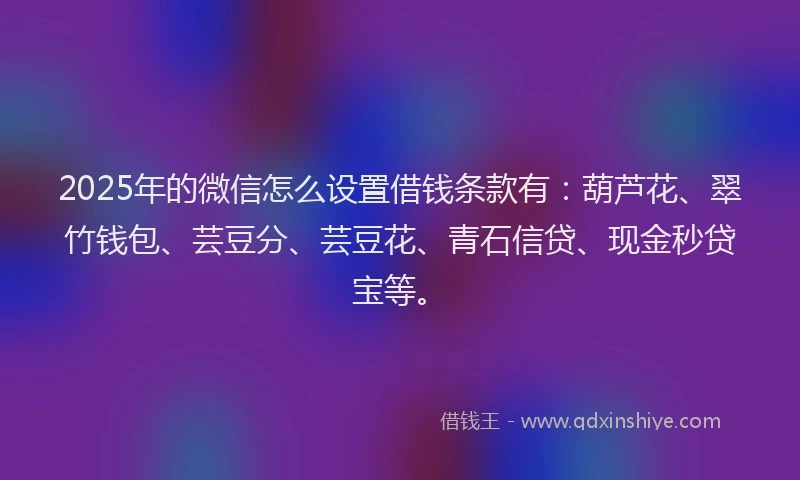 2025年的微信怎么设置借钱条款有：葫芦花、翠竹钱包、芸豆分、芸豆花、青石信贷、现金秒贷宝等。
