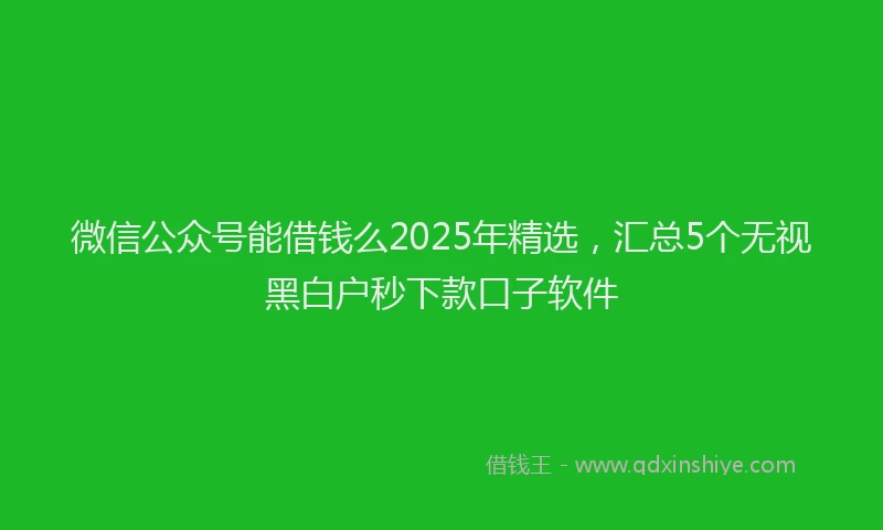 微信公众号能借钱么2025年精选，汇总5个无视黑白户秒下款口子软件