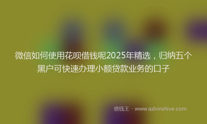 微信如何使用花呗借钱呢2025年精选，归纳五个黑户可快速办理小额贷款业务的口子
