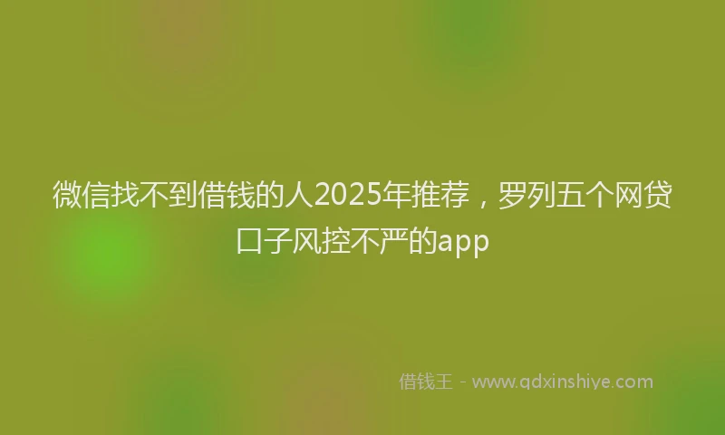 微信找不到借钱的人2025年推荐，罗列五个网贷口子风控不严的app