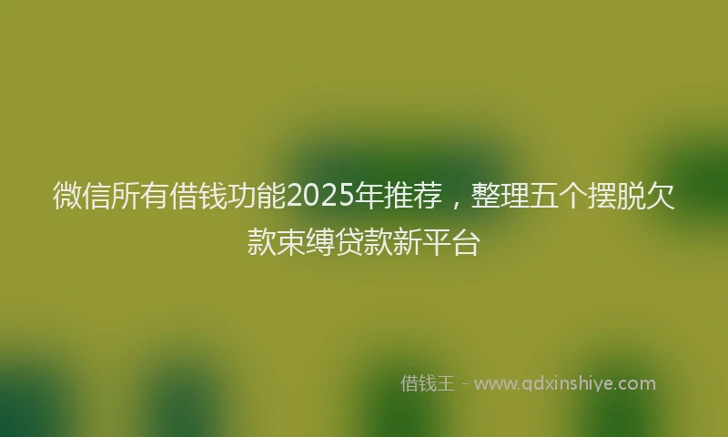 微信所有借钱功能2025年推荐，整理五个摆脱欠款束缚贷款新平台