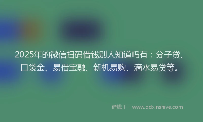 2025年的微信扫码借钱别人知道吗有：分子贷、口袋金、易借宝融、新机易购、滴水易贷等。