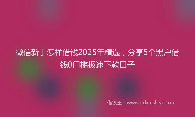 微信新手怎样借钱2025年精选，分享5个黑户借钱0门槛极速下款口子