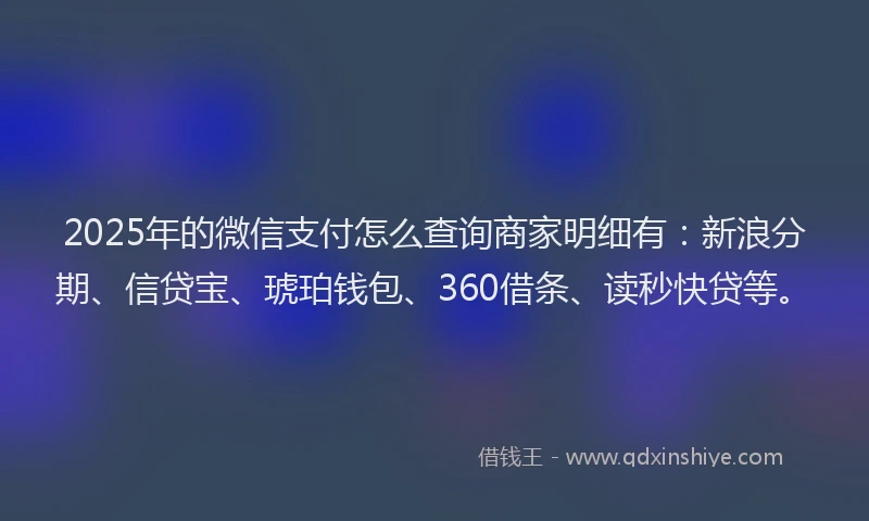 2025年的微信支付怎么查询商家明细有：新浪分期、信贷宝、琥珀钱包、360借条、读秒快贷等。
