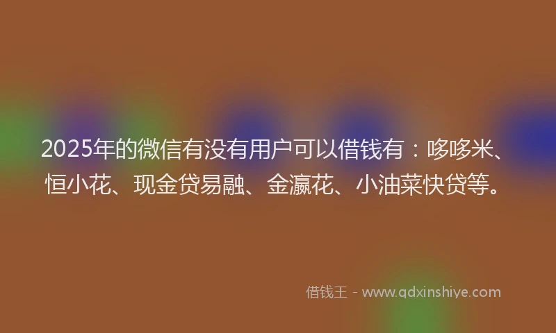 2025年的微信有没有用户可以借钱有：哆哆米、恒小花、现金贷易融、金瀛花、小油菜快贷等。