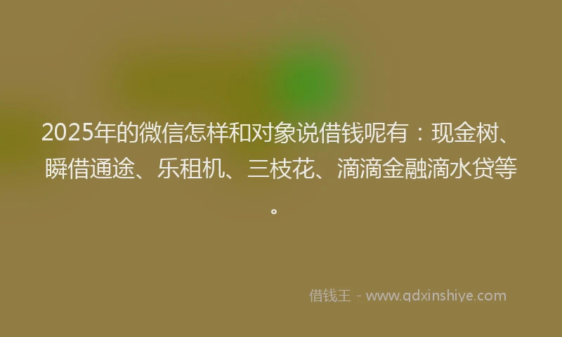 2025年的微信怎样和对象说借钱呢有：现金树、瞬借通途、乐租机、三枝花、滴滴金融滴水贷等。