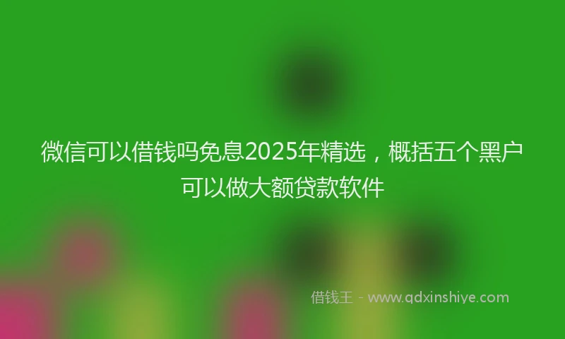 微信可以借钱吗免息2025年精选，概括五个黑户可以做大额贷款软件