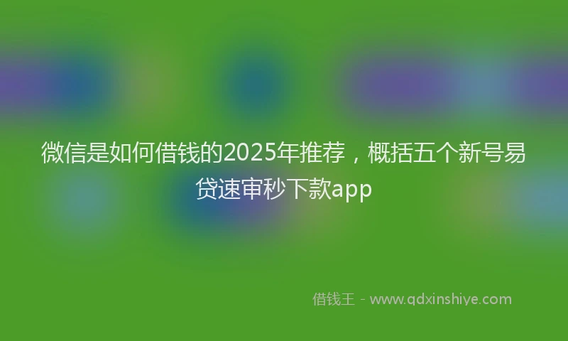 微信是如何借钱的2025年推荐，概括五个新号易贷速审秒下款app