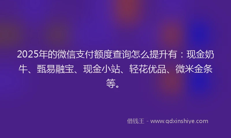 2025年的微信支付额度查询怎么提升有：现金奶牛、甄易融宝、现金小站、轻花优品、微米金条等。