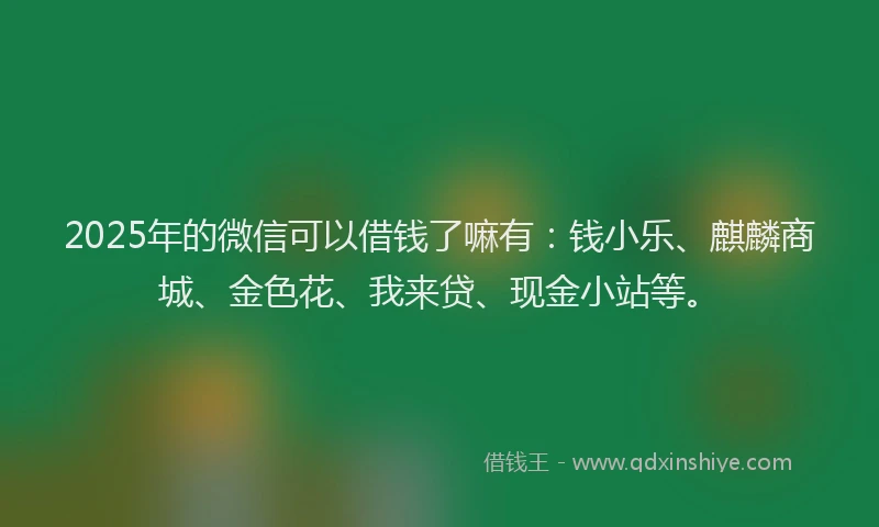 2025年的微信可以借钱了嘛有：钱小乐、麒麟商城、金色花、我来贷、现金小站等。