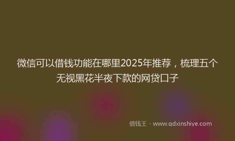 微信可以借钱功能在哪里2025年推荐，梳理五个无视黑花半夜下款的网贷口子
