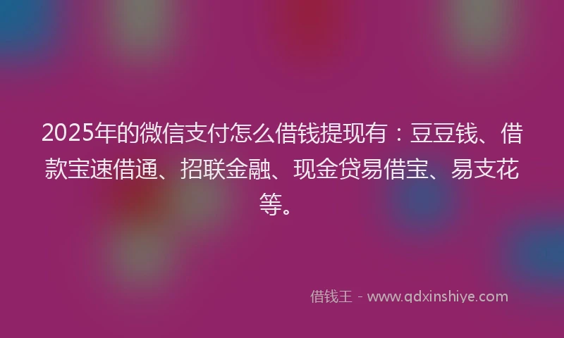 2025年的微信支付怎么借钱提现有：豆豆钱、借款宝速借通、招联金融、现金贷易借宝、易支花等。