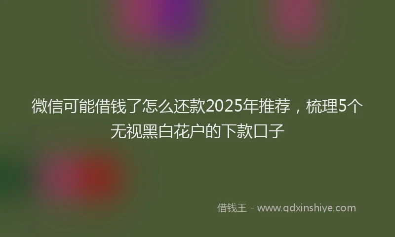 微信可能借钱了怎么还款2025年推荐，梳理5个无视黑白花户的下款口子