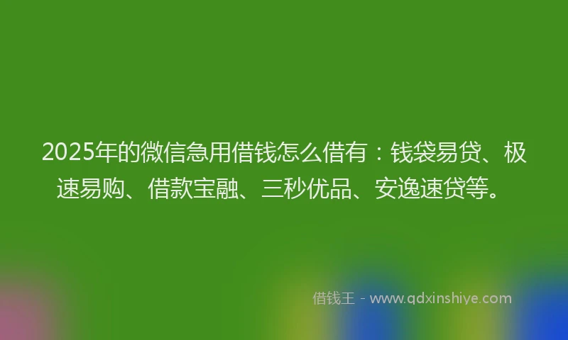 2025年的微信急用借钱怎么借有：钱袋易贷、极速易购、借款宝融、三秒优品、安逸速贷等。