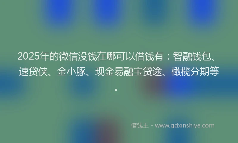 2025年的微信没钱在哪可以借钱有：智融钱包、速贷侠、金小豚、现金易融宝贷途、橄榄分期等。
