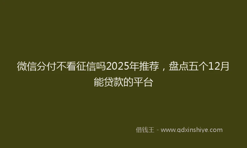 微信分付不看征信吗2025年推荐，盘点五个12月能贷款的平台