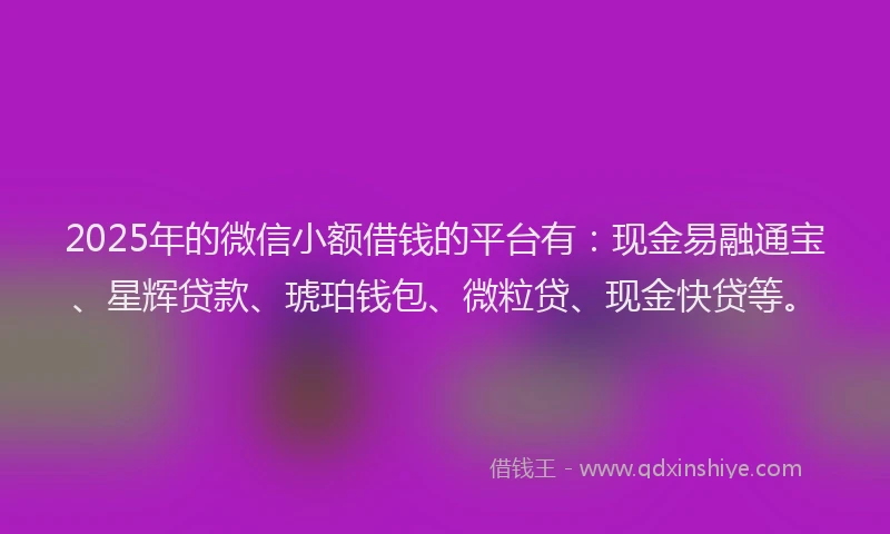2025年的微信小额借钱的平台有：现金易融通宝、星辉贷款、琥珀钱包、微粒贷、现金快贷等。