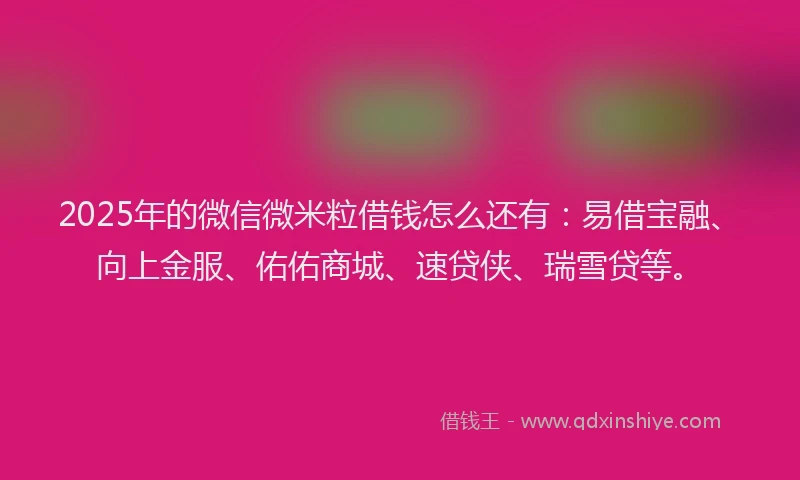 2025年的微信微米粒借钱怎么还有：易借宝融、向上金服、佑佑商城、速贷侠、瑞雪贷等。