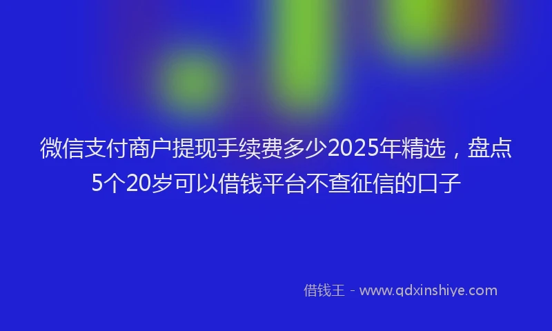 微信支付商户提现手续费多少2025年精选，盘点5个20岁可以借钱平台不查征信的口子