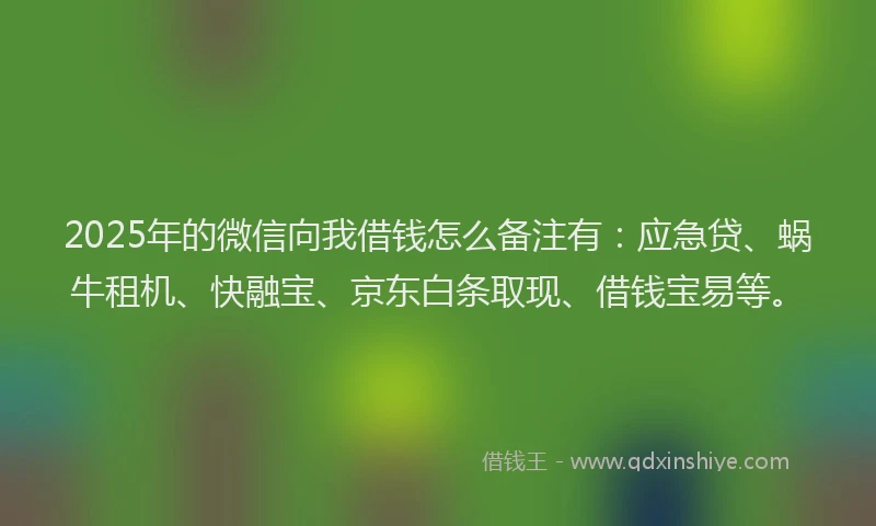 2025年的微信向我借钱怎么备注有：应急贷、蜗牛租机、快融宝、京东白条取现、借钱宝易等。