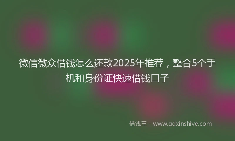 微信微众借钱怎么还款2025年推荐，整合5个手机和身份证快速借钱口子