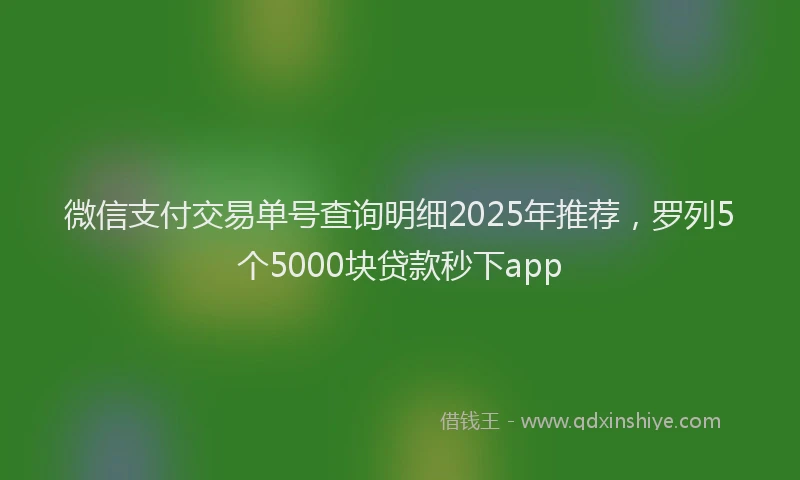 微信支付交易单号查询明细2025年推荐，罗列5个5000块贷款秒下app