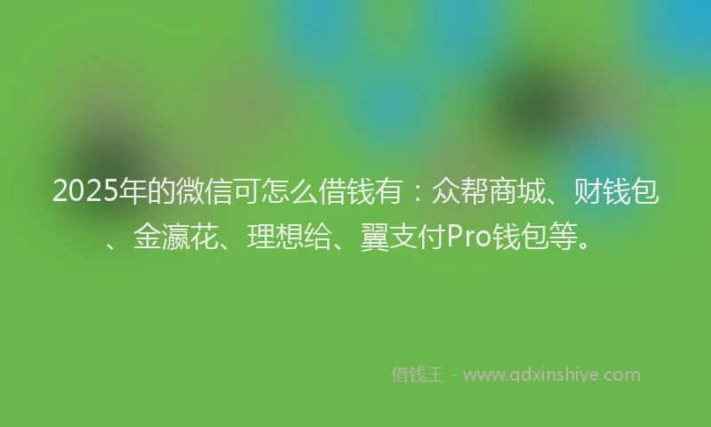 2025年的微信可怎么借钱有：众帮商城、财钱包、金瀛花、理想给、翼支付Pro钱包等。
