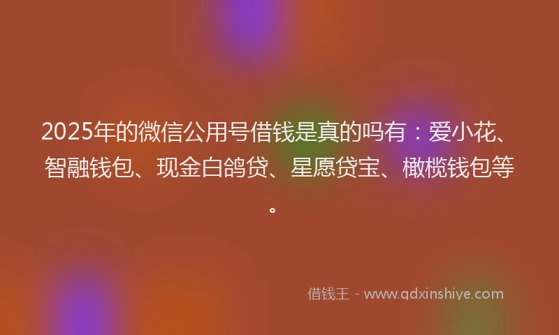 2025年的微信公用号借钱是真的吗有：爱小花、智融钱包、现金白鸽贷、星愿贷宝、橄榄钱包等。