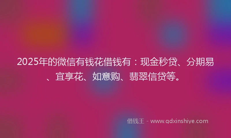 2025年的微信有钱花借钱有：现金秒贷、分期易、宜享花、如意购、翡翠信贷等。