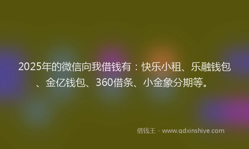 2025年的微信向我借钱有：快乐小租、乐融钱包、金亿钱包、360借条、小金象分期等。