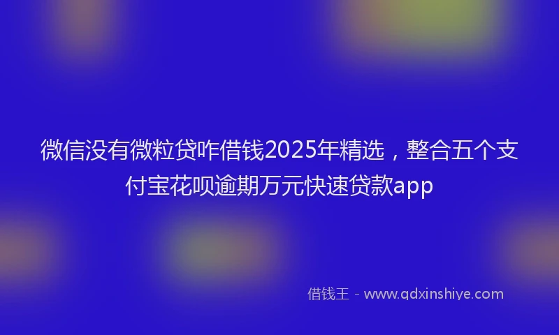 微信没有微粒贷咋借钱2025年精选，整合五个支付宝花呗逾期万元快速贷款app