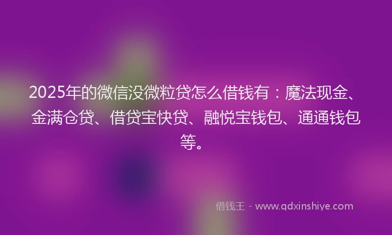 2025年的微信没微粒贷怎么借钱有：魔法现金、金满仓贷、借贷宝快贷、融悦宝钱包、通通钱包等。