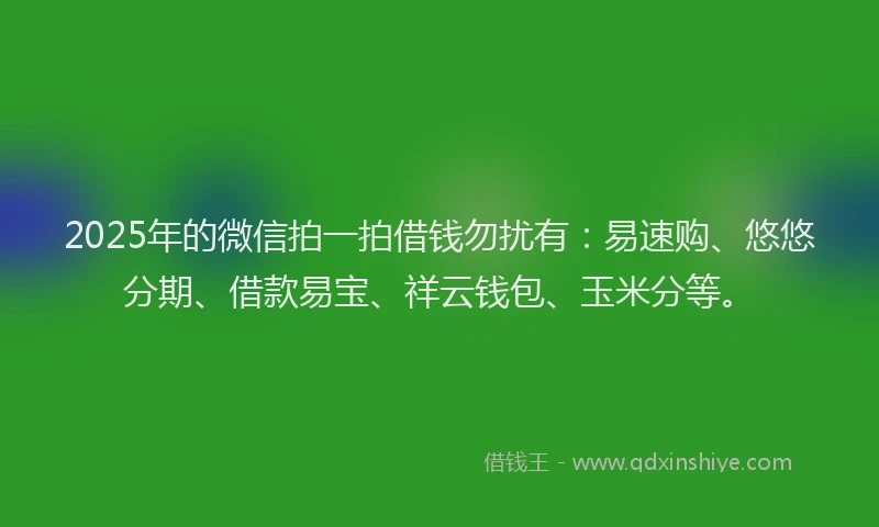 2025年的微信拍一拍借钱勿扰有：易速购、悠悠分期、借款易宝、祥云钱包、玉米分等。