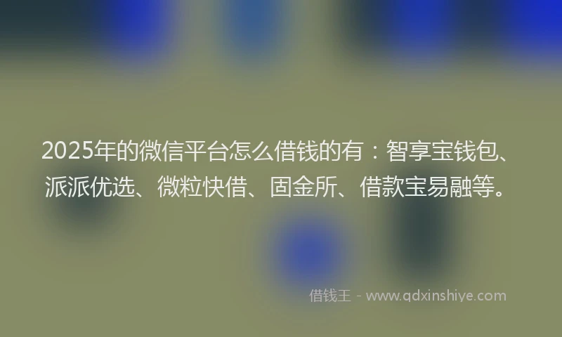2025年的微信平台怎么借钱的有：智享宝钱包、派派优选、微粒快借、固金所、借款宝易融等。